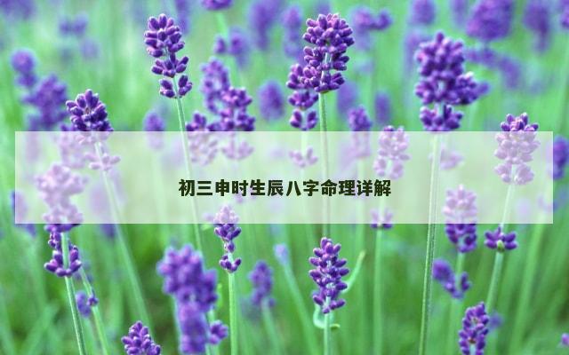 初三申时生辰八字命理详解