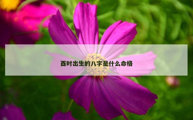 酉时出生的八字是什么命格