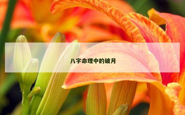 八字命理中的破月