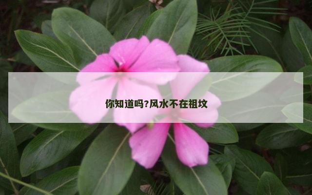 你知道吗?风水不在祖坟