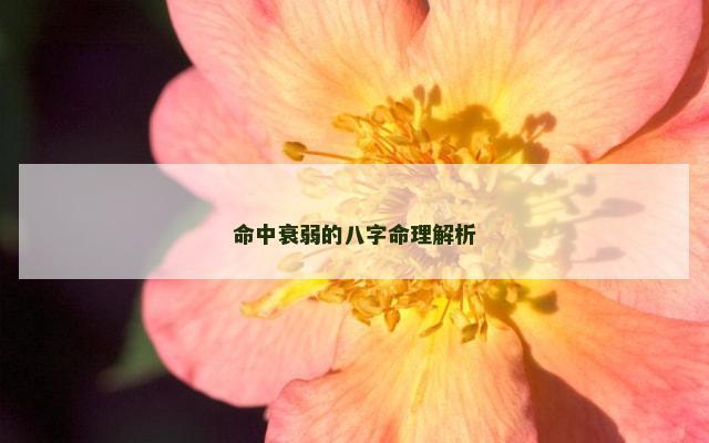 命中衰弱的八字命理解析