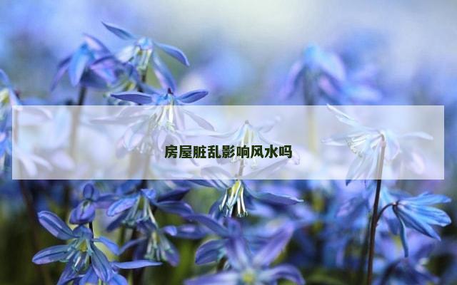 房屋脏乱影响风水吗