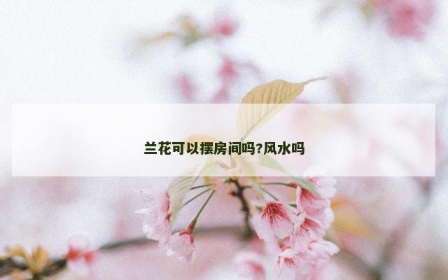 兰花可以摆房间吗?风水吗