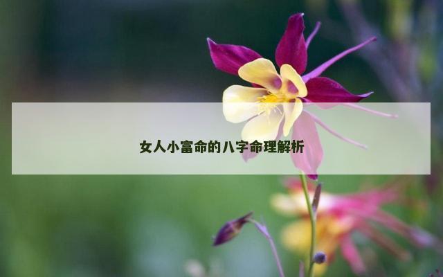 女人小富命的八字命理解析