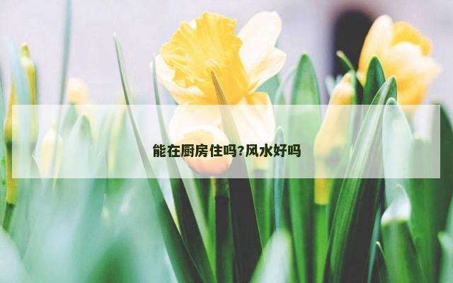 能在厨房住吗?风水好吗