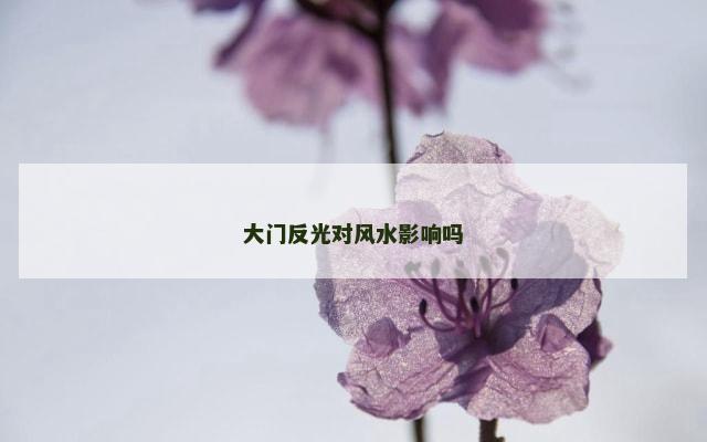 大门反光对风水影响吗