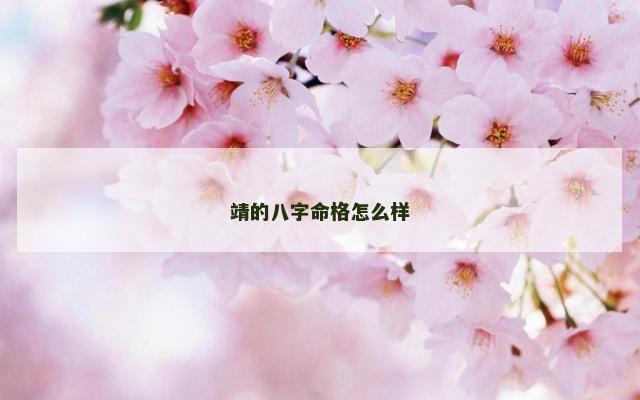 靖的八字命格怎么样