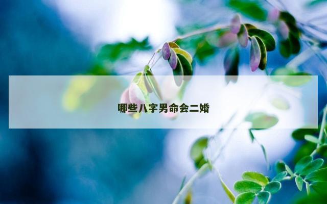 哪些八字男命会二婚