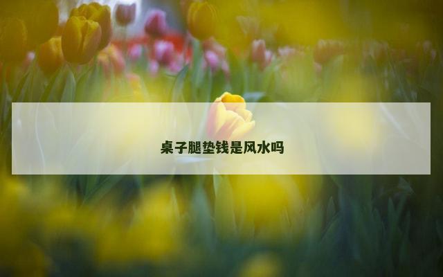 桌子腿垫钱是风水吗