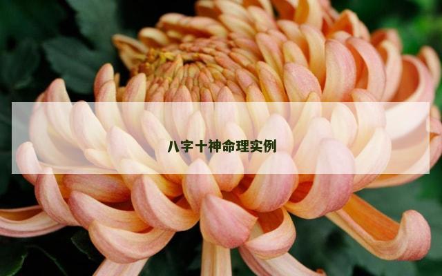 八字十神命理实例