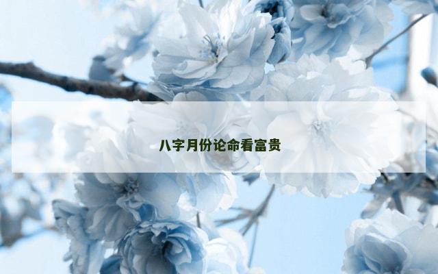八字月份论命看富贵