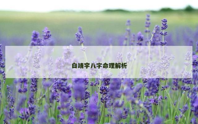 白靖宇八字命理解析
