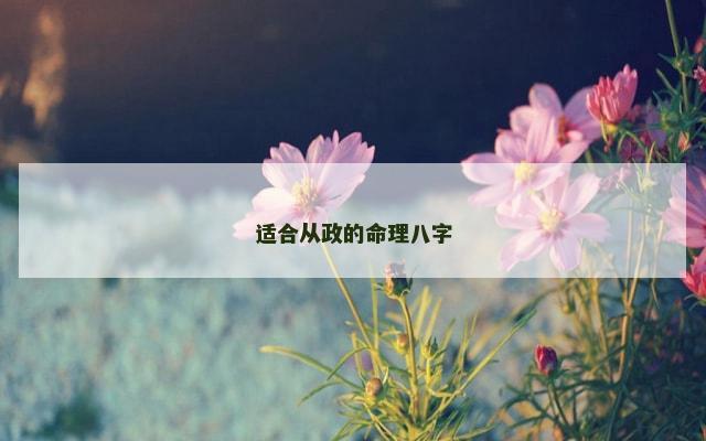 适合从政的命理八字