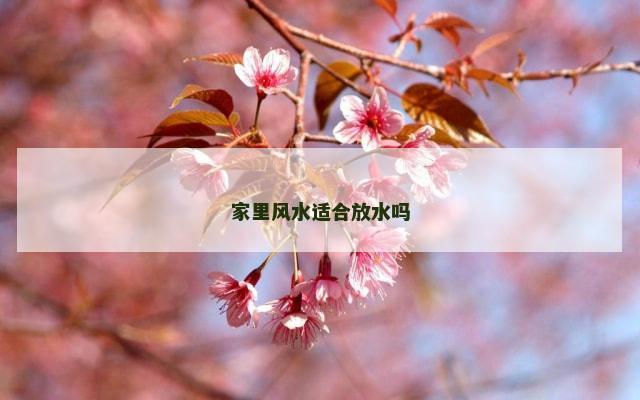 家里风水适合放水吗