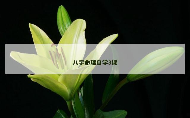 八字命理自学3课