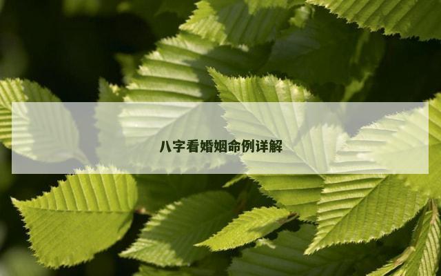 八字看婚姻命例详解