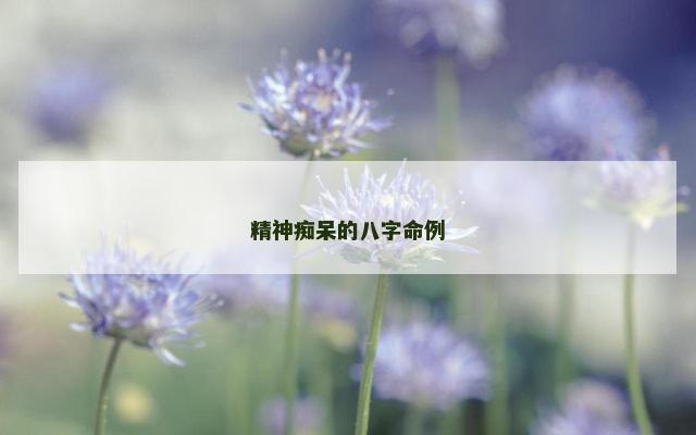 精神痴呆的八字命例