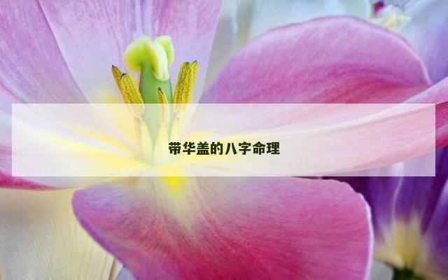 带华盖的八字命理