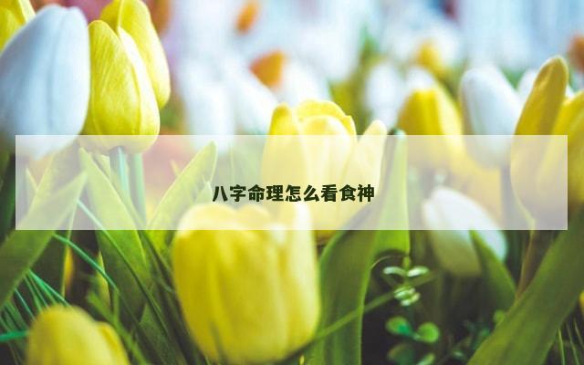 八字命理怎么看食神