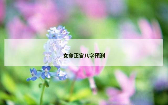 女命正官八字预测