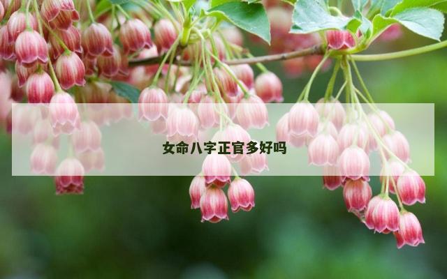 女命八字正官多好吗