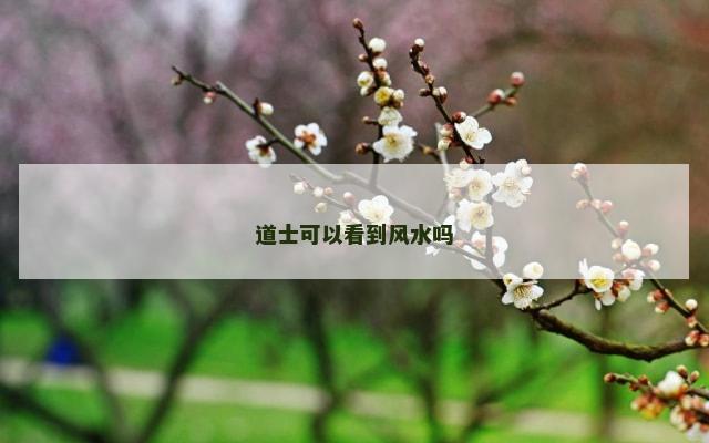 道士可以看到风水吗