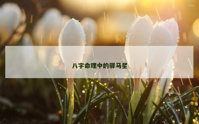 八字命理中的驿马星