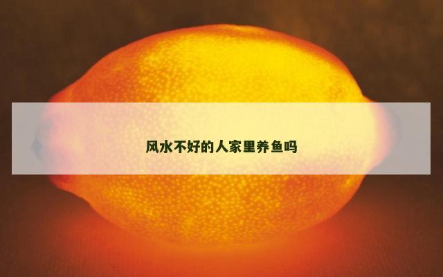 风水不好的人家里养鱼吗