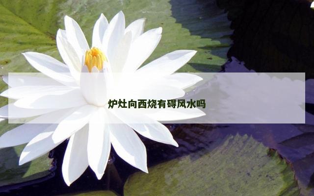 炉灶向西烧有碍风水吗