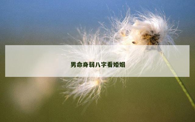 男命身弱八字看婚姻