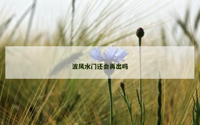 波风水门还会再出吗