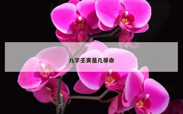 八字壬寅是几等命