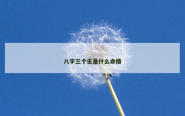 八字三个壬是什么命格