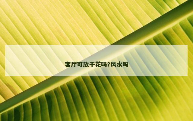 客厅可放干花吗?风水吗