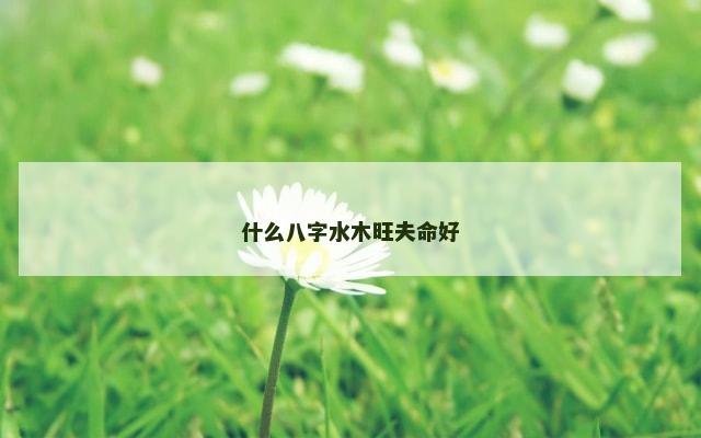 什么八字水木旺夫命好