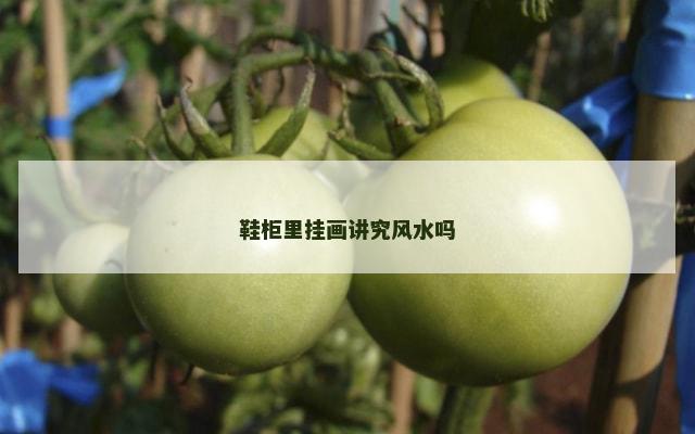 鞋柜里挂画讲究风水吗