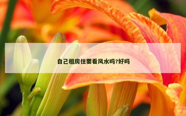 自己租房住要看风水吗?好吗