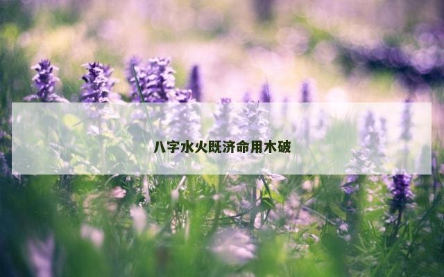 八字水火既济命用木破