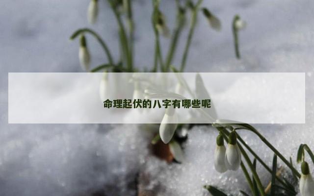 命理起伏的八字有哪些呢