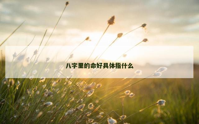 八字里的命好具体指什么