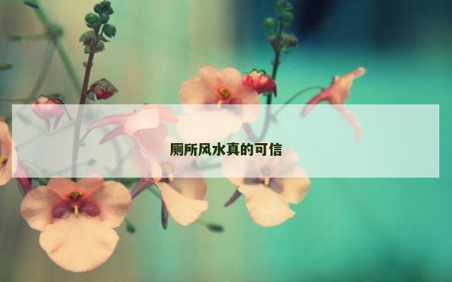 厕所风水真的可信