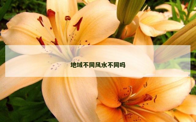 地域不同风水不同吗