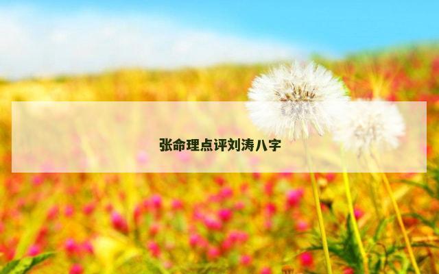 张命理点评刘涛八字