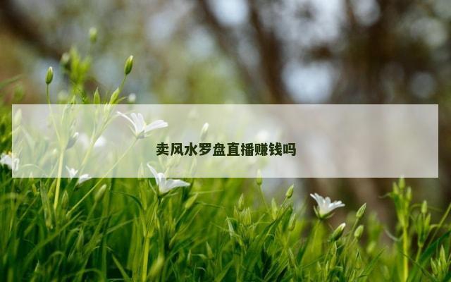 卖风水罗盘直播赚钱吗