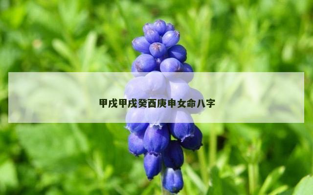 甲戌甲戌癸酉庚申女命八字