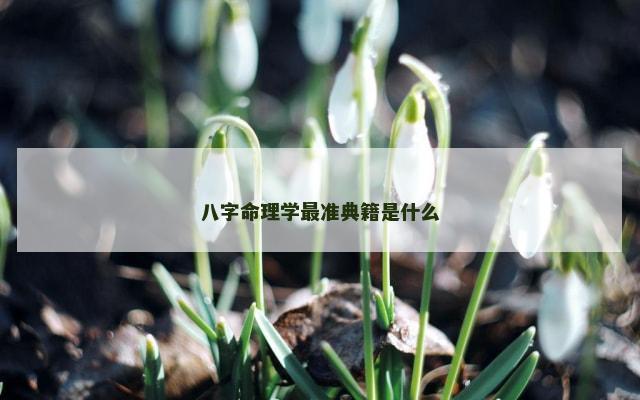 八字命理学最准典籍是什么
