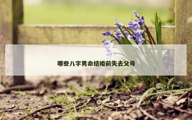 哪些八字男命结婚前失去父母