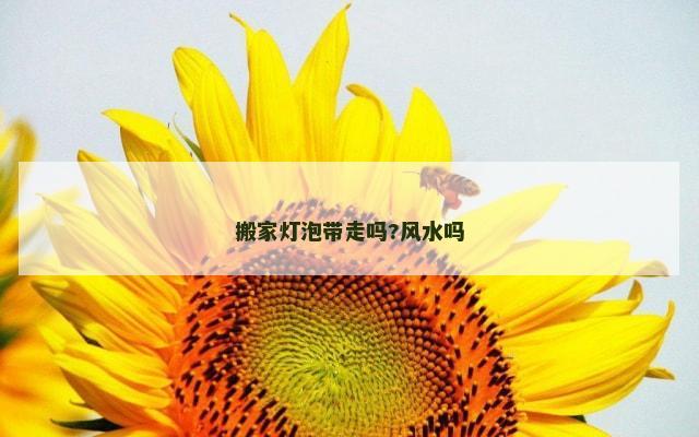 搬家灯泡带走吗?风水吗