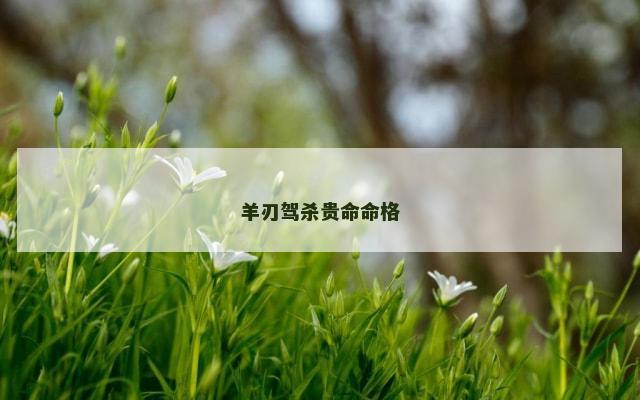 羊刃驾杀贵命命格