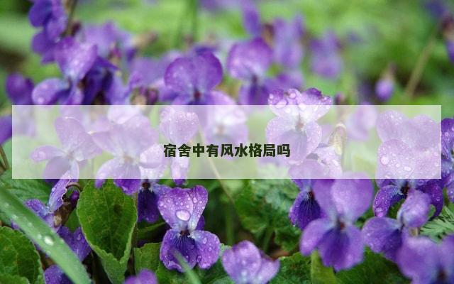 宿舍中有风水格局吗